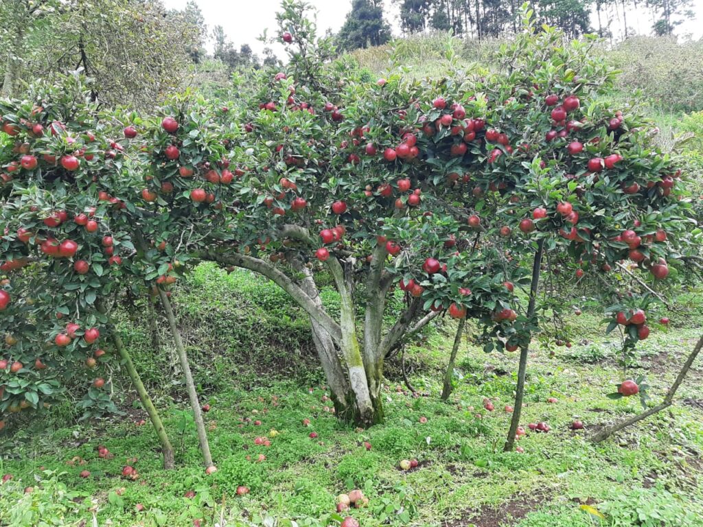 Newly Wed And Blissful Start of New Life